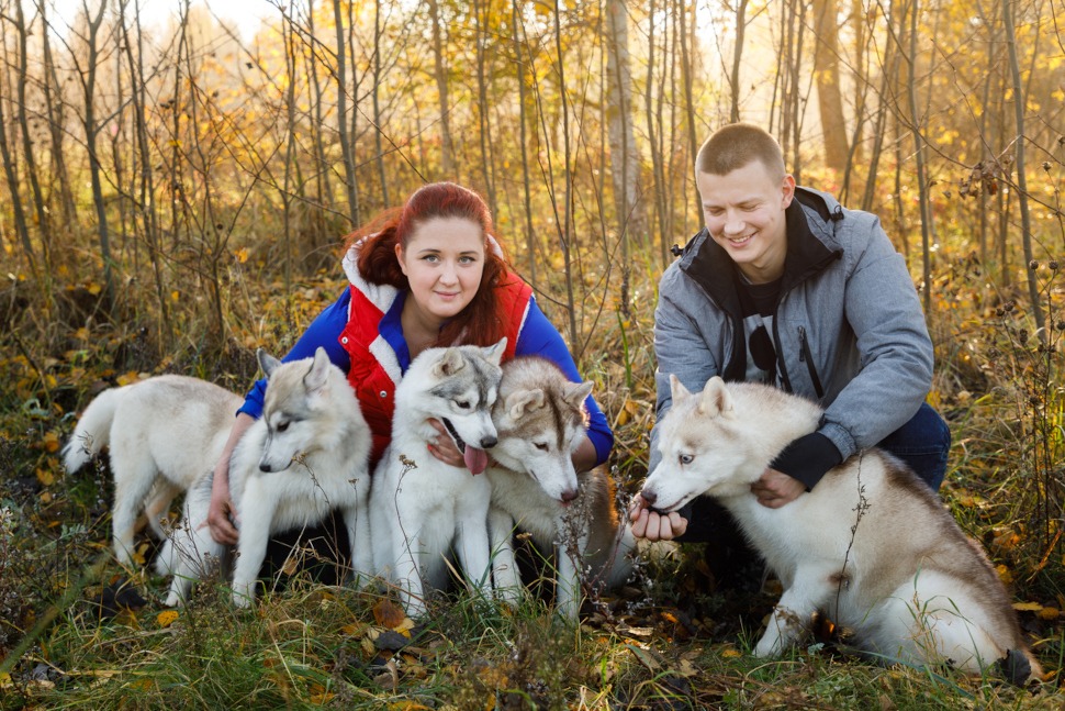 Hunde-OP Versicherung für Züchter