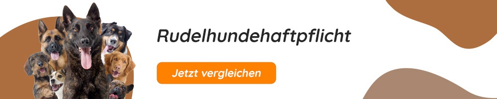 Rudel-Hundehaftpflicht für Züchter vergleichen