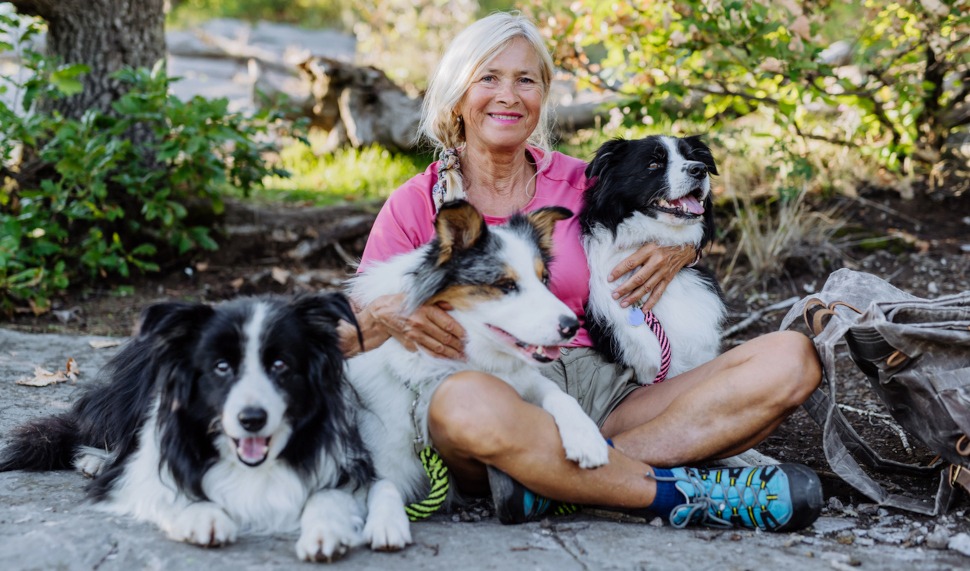 Hundekrankenversicherung für Züchter