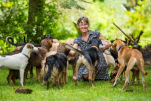 Hundeversicherung für Hobbyzüchter